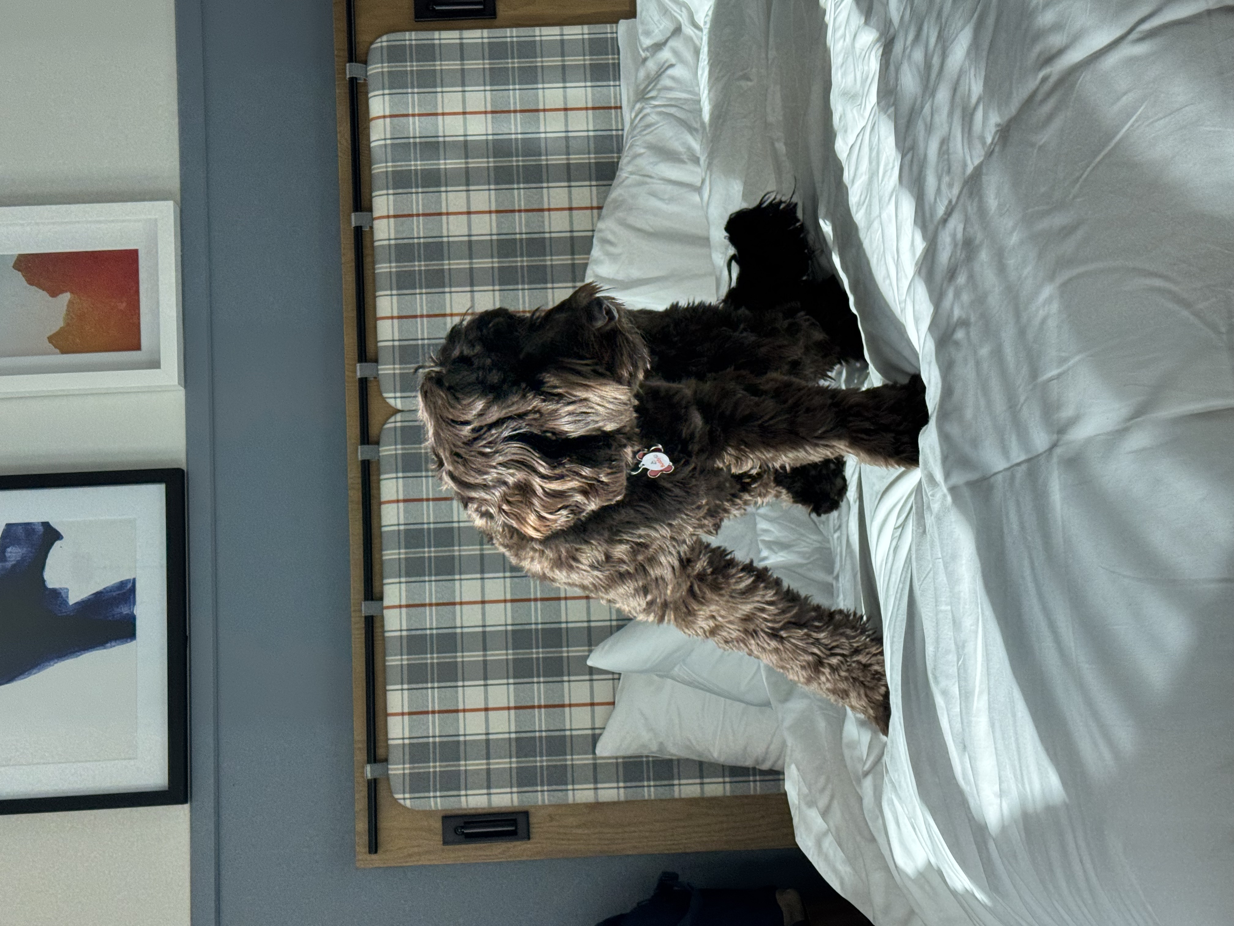 Limelight Hotel Mammoth