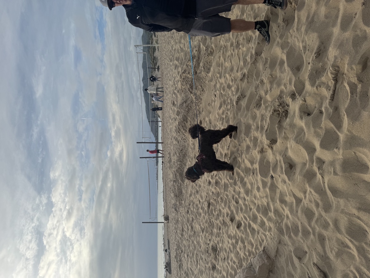 Ventura Beach