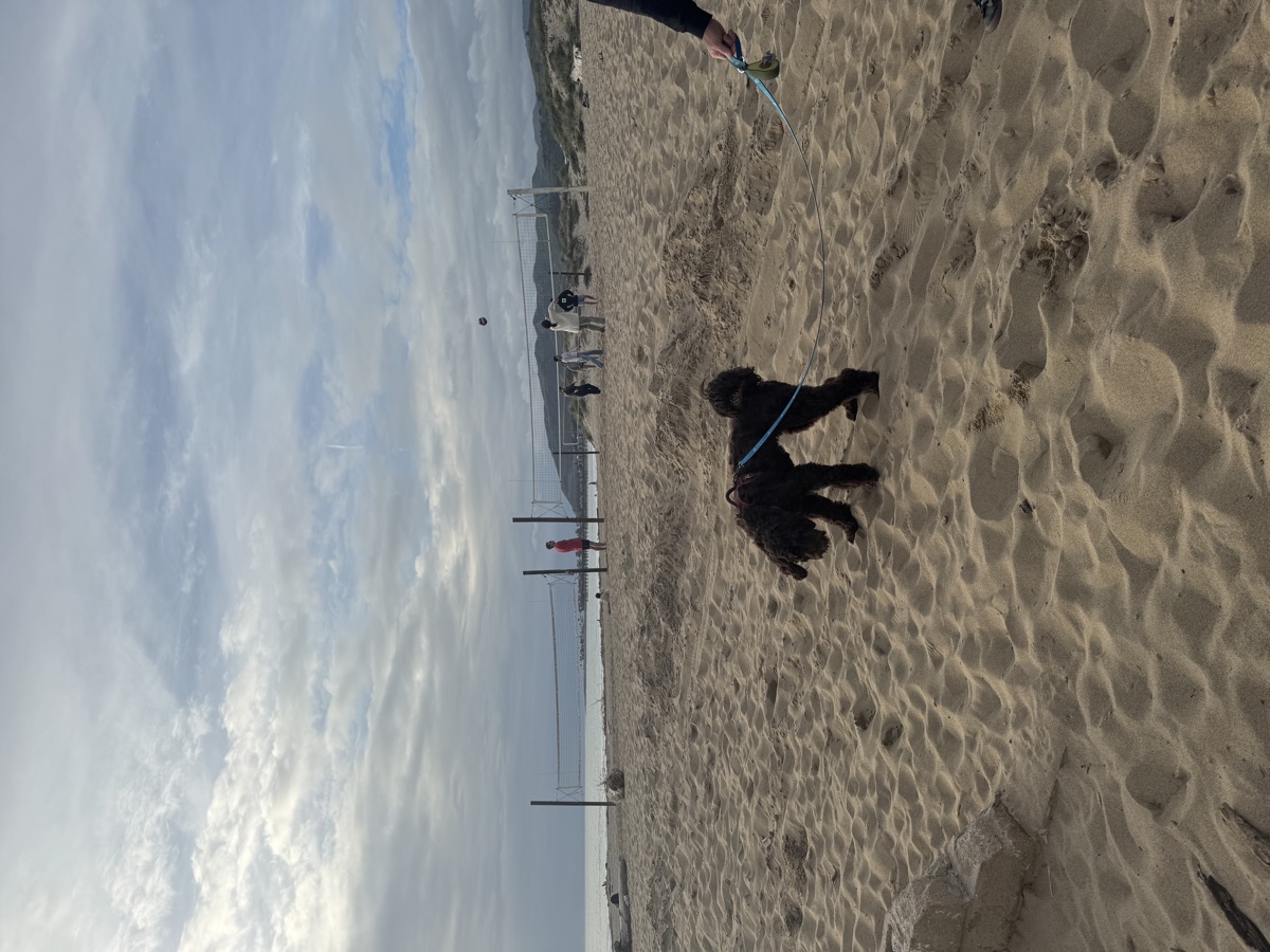 Ventura Beach