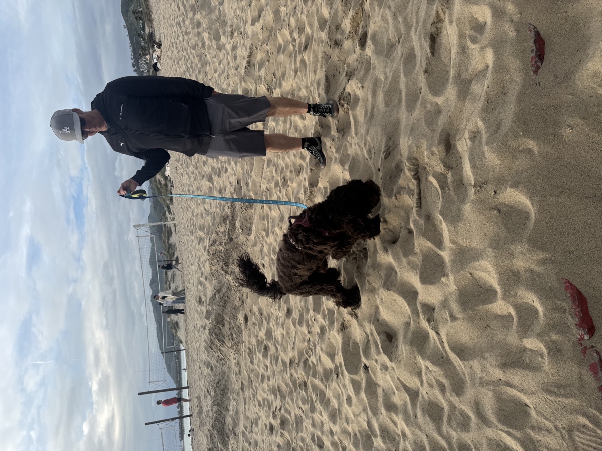 Ventura Beach