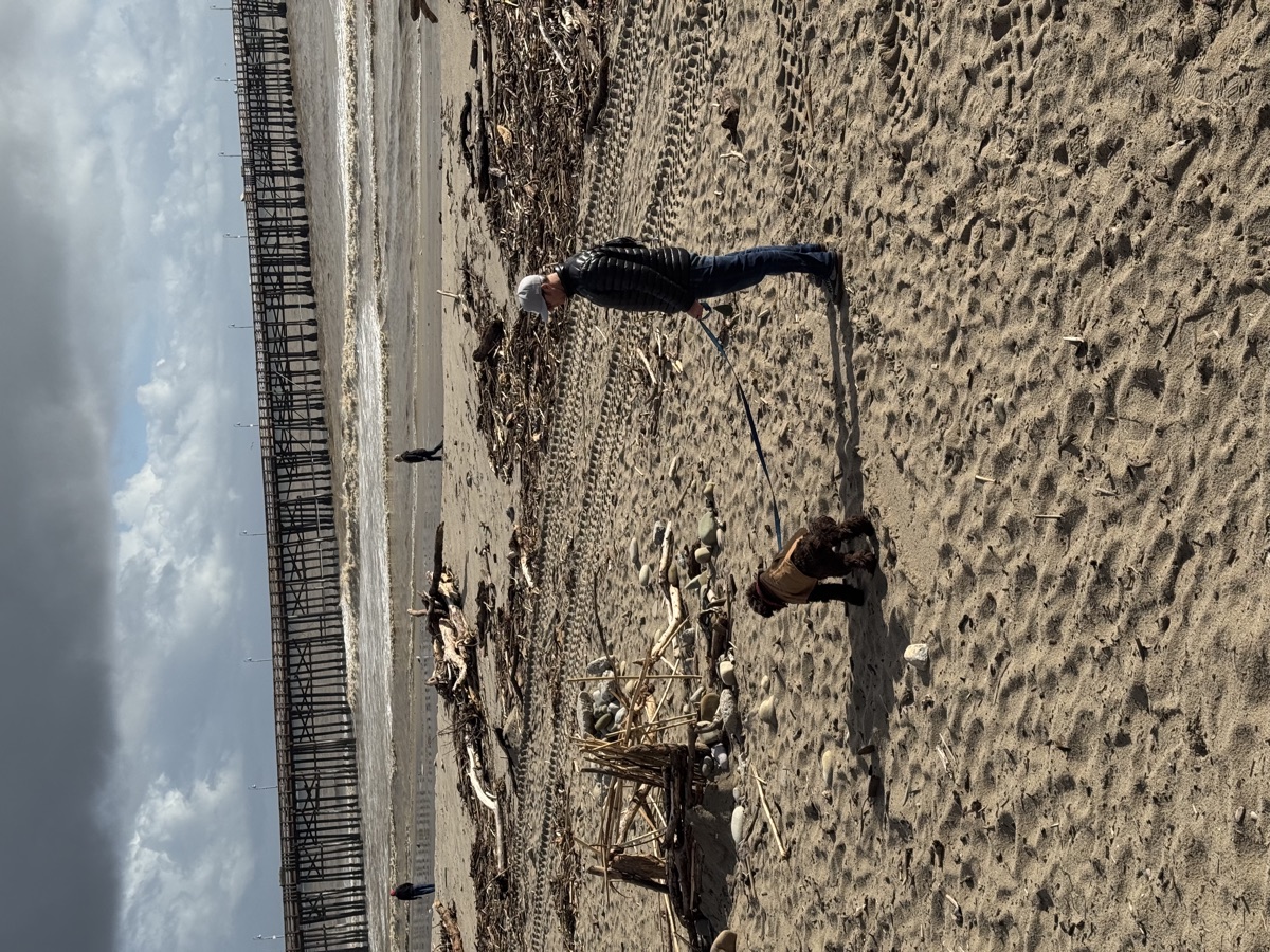 Ventura Beach